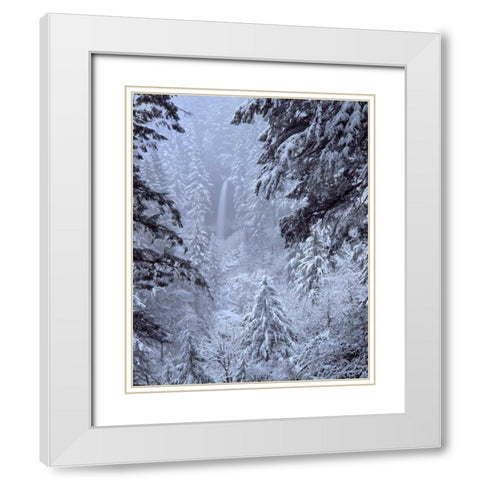 Oregon, Silver Falls North Falls in winter snow White Modern Wood Framed Art Print with Double Matting by Terrill, Steve