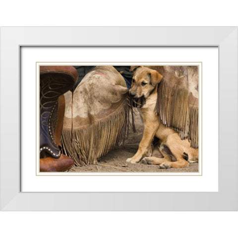 OR, Seneca A puppy chewing cowboys chaps White Modern Wood Framed Art Print with Double Matting by Kaveney, Wendy