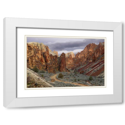 USA, Oregon View of Leslie Gulch White Modern Wood Framed Art Print with Double Matting by Paulson, Don