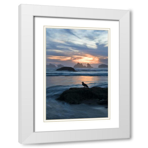 OR, Bandon Beach Seagull silhouette at sunset White Modern Wood Framed Art Print with Double Matting by Rotenberg, Nancy