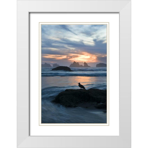 OR, Bandon Beach Seagull silhouette at sunset White Modern Wood Framed Art Print with Double Matting by Rotenberg, Nancy