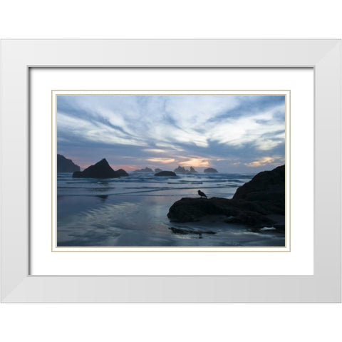 OR, Bandon Beach Seagull silhouette at sunset White Modern Wood Framed Art Print with Double Matting by Rotenberg, Nancy
