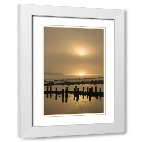 USA, Oregon, Bandon Sunrise on foggy coastline White Modern Wood Framed Art Print with Double Matting by Rotenberg, Nancy