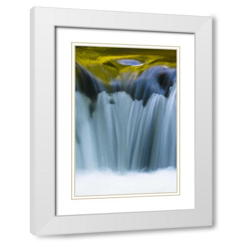 Oregon Reflections in waterfall on Sweet Creek White Modern Wood Framed Art Print with Double Matting by Rotenberg, Nancy