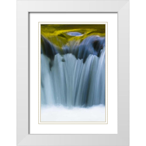 Oregon Reflections in waterfall on Sweet Creek White Modern Wood Framed Art Print with Double Matting by Rotenberg, Nancy