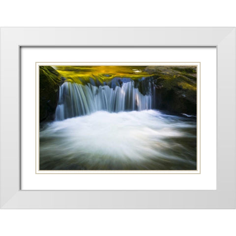 Oregon Reflections in waterfall on Sweet Creek White Modern Wood Framed Art Print with Double Matting by Rotenberg, Nancy