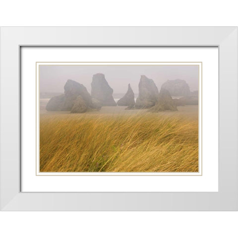 OR, Bandon Dune grass and seastacks in fog White Modern Wood Framed Art Print with Double Matting by Paulson, Don