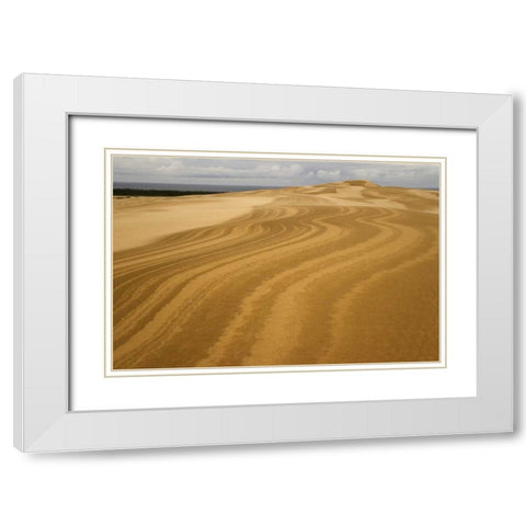 OR, Siuslaw NF, Umpqua Dunes Patterns in dunes White Modern Wood Framed Art Print with Double Matting by Paulson, Don