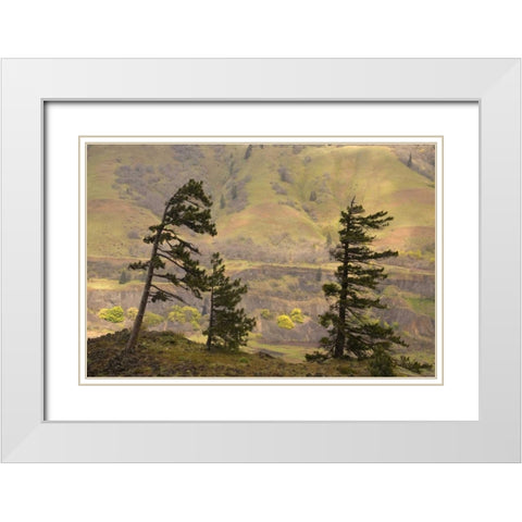 OR, Columbia Gorge Overlook of hills and valley White Modern Wood Framed Art Print with Double Matting by Paulson, Don
