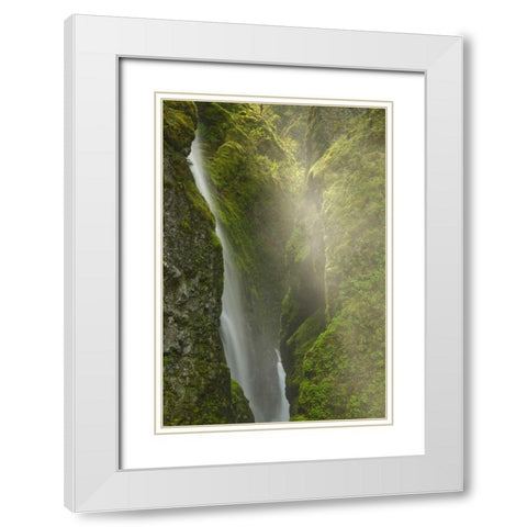 OR, Columbia Gorge Overlook of Elowah Falls White Modern Wood Framed Art Print with Double Matting by Paulson, Don