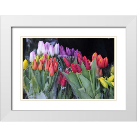 OR, Portland Bouquets of spring tulips for sale White Modern Wood Framed Art Print with Double Matting by Terrill, Steve