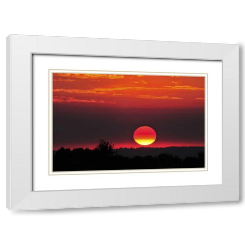 USA, Oregon, Portland Vivid red sunset White Modern Wood Framed Art Print with Double Matting by Terrill, Steve