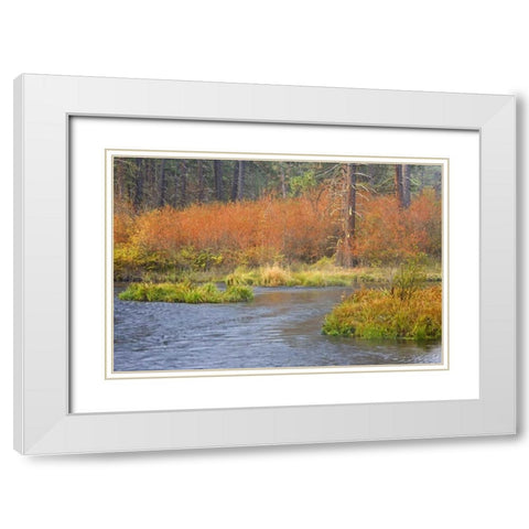 OR, Metolius River Fall along a stream bank White Modern Wood Framed Art Print with Double Matting by Paulson, Don