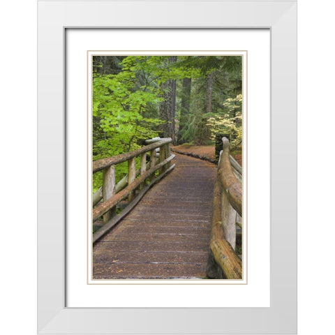 OR, Willamette NF Wooden foot bridge White Modern Wood Framed Art Print with Double Matting by Paulson, Don