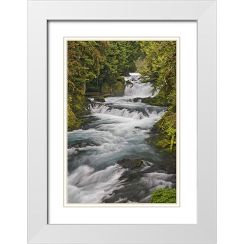 Oregon, Willamette NF McKenzie River rapids White Modern Wood Framed Art Print with Double Matting by Paulson, Don
