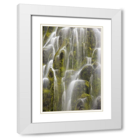 Oregon, Willamette NF View of Proxy Falls White Modern Wood Framed Art Print with Double Matting by Paulson, Don
