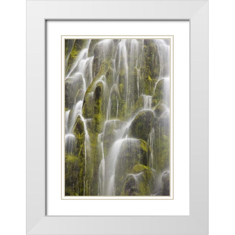 Oregon, Willamette NF View of Proxy Falls White Modern Wood Framed Art Print with Double Matting by Paulson, Don