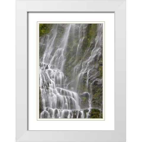 Oregon, Willamette NF View of Proxy Falls White Modern Wood Framed Art Print with Double Matting by Paulson, Don