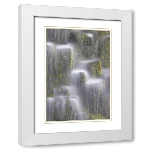 OR, Willamette NF Proxy Falls cascading water White Modern Wood Framed Art Print with Double Matting by Paulson, Don