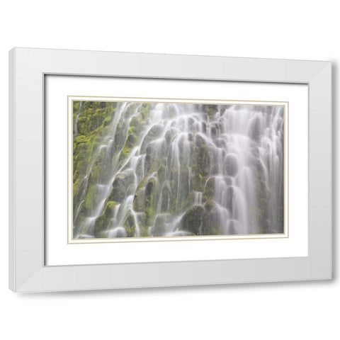 Oregon, Willamette NF View of Proxy Falls White Modern Wood Framed Art Print with Double Matting by Paulson, Don