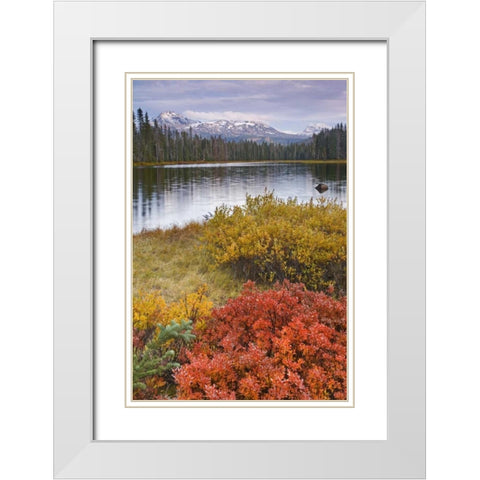 OR, Willamette NF Scott Lake and Three Sisters White Modern Wood Framed Art Print with Double Matting by Paulson, Don