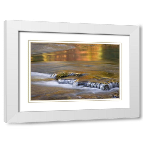 OR, Rogue River NF Autumn reflections White Modern Wood Framed Art Print with Double Matting by Paulson, Don