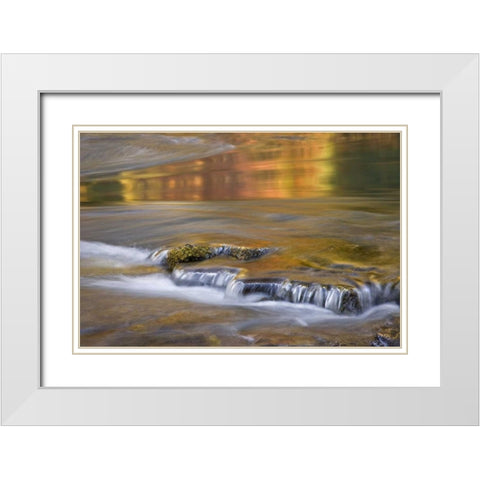 OR, Rogue River NF Autumn reflections White Modern Wood Framed Art Print with Double Matting by Paulson, Don
