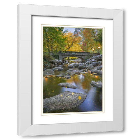 OR, Lithia Park Autumn reflects in Ashland Creek White Modern Wood Framed Art Print with Double Matting by Paulson, Don