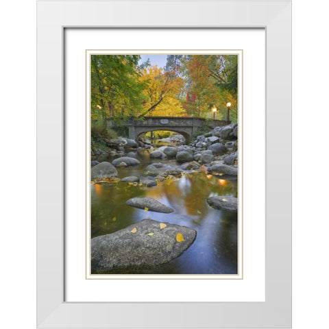 OR, Lithia Park Autumn reflects in Ashland Creek White Modern Wood Framed Art Print with Double Matting by Paulson, Don