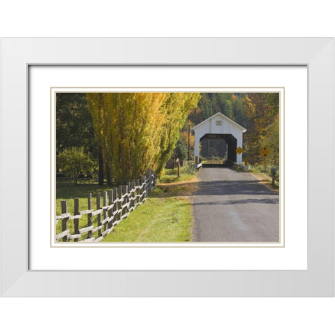Oregon, Lake Creek Nelson Mountain Bridge White Modern Wood Framed Art Print with Double Matting by Paulson, Don