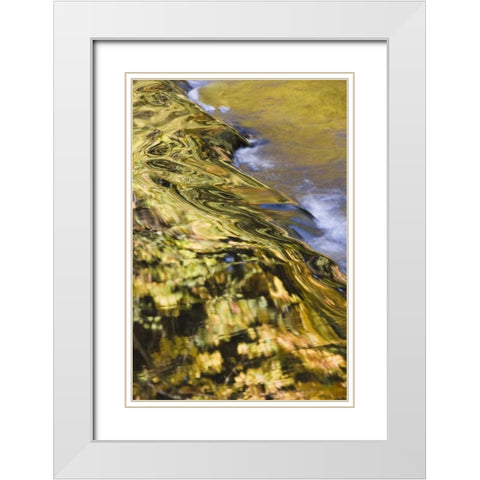 OR, Lake Creek Golden reflections on creek water White Modern Wood Framed Art Print with Double Matting by Paulson, Don