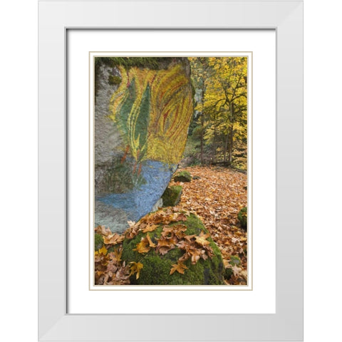 OR, Lake Creek Painted boulder and forest trail White Modern Wood Framed Art Print with Double Matting by Paulson, Don