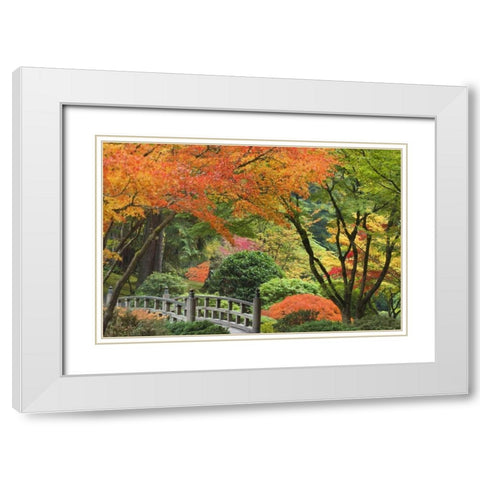 Oregon, Portland Bridge and maple tree in autumn White Modern Wood Framed Art Print with Double Matting by Paulson, Don
