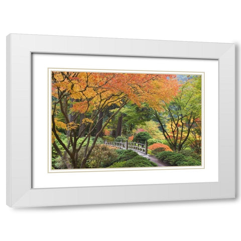Oregon, Portland Bridge and maple tree in autumn White Modern Wood Framed Art Print with Double Matting by Paulson, Don