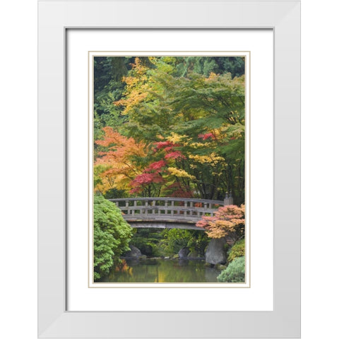 Oregon, Portland Wooden bridge over pond White Modern Wood Framed Art Print with Double Matting by Paulson, Don