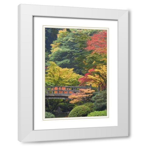 Oregon, Portland Wooden bridge over pond White Modern Wood Framed Art Print with Double Matting by Paulson, Don