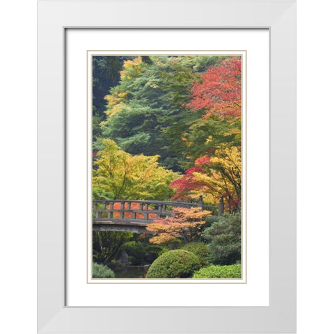 Oregon, Portland Wooden bridge over pond White Modern Wood Framed Art Print with Double Matting by Paulson, Don