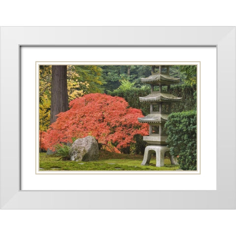 Oregon, Portland Stone tower and Japanese maple White Modern Wood Framed Art Print with Double Matting by Paulson, Don