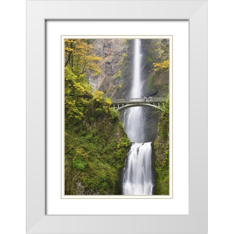 OR, Columbia Gorge Bridge by Multnomah Falls White Modern Wood Framed Art Print with Double Matting by Paulson, Don