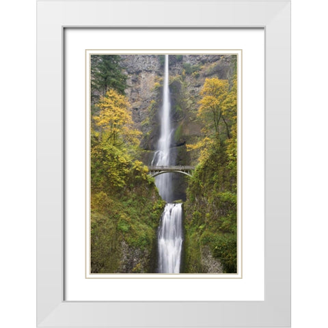 OR, Columbia Gorge Bridge by Multnomah Falls White Modern Wood Framed Art Print with Double Matting by Paulson, Don