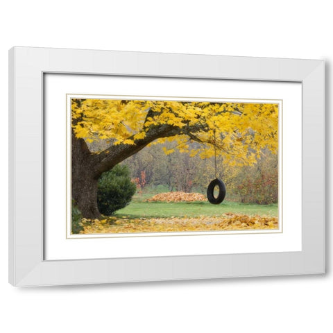 OR, Hood River Tire swing hangs from tree branch White Modern Wood Framed Art Print with Double Matting by Paulson, Don