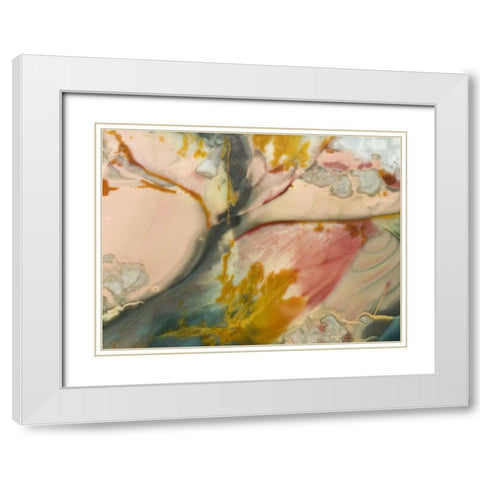 Oregon, Owyhee River Valley Morrisonite Jasper White Modern Wood Framed Art Print with Double Matting by Kirkland, Dennis