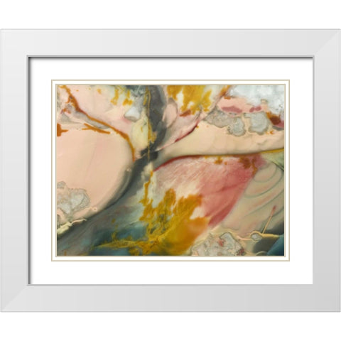 Oregon, Owyhee River Valley Morrisonite Jasper White Modern Wood Framed Art Print with Double Matting by Kirkland, Dennis