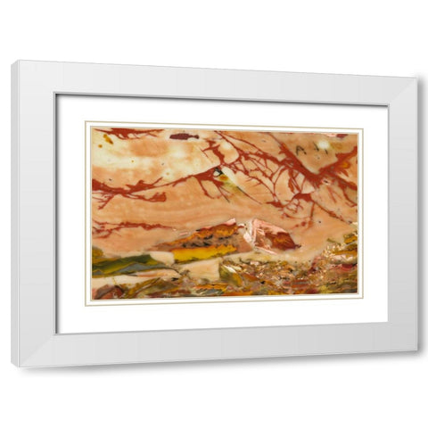 Oregon, Owyhee River Valley Morrisonite Jasper White Modern Wood Framed Art Print with Double Matting by Kirkland, Dennis