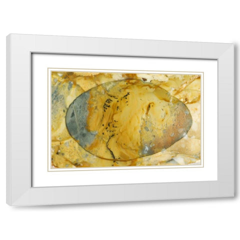 Oregon, Owyhee River Valley Morrisonite Jasper White Modern Wood Framed Art Print with Double Matting by Kirkland, Dennis