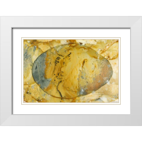 Oregon, Owyhee River Valley Morrisonite Jasper White Modern Wood Framed Art Print with Double Matting by Kirkland, Dennis