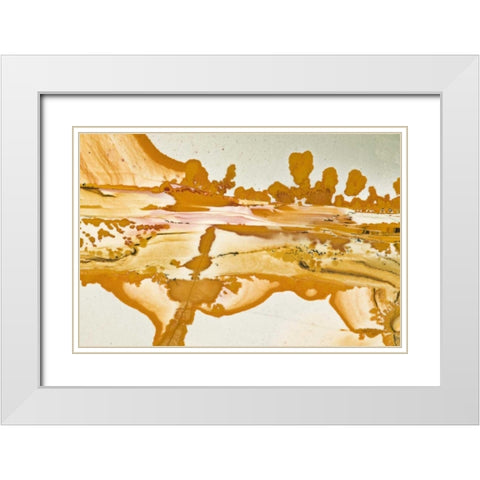 Oregon Close-up of Owyhee Picture Jasper stone White Modern Wood Framed Art Print with Double Matting by Kirkland, Dennis