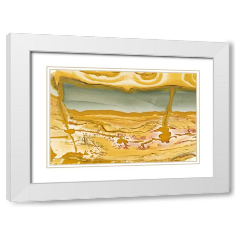 Oregon Close-up of Owyhee Picture Jasper stone White Modern Wood Framed Art Print with Double Matting by Kirkland, Dennis