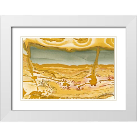Oregon Close-up of Owyhee Picture Jasper stone White Modern Wood Framed Art Print with Double Matting by Kirkland, Dennis