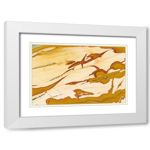Oregon Close-up of Owyhee Picture Jasper stone White Modern Wood Framed Art Print with Double Matting by Kirkland, Dennis